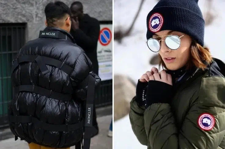 Canada Goose