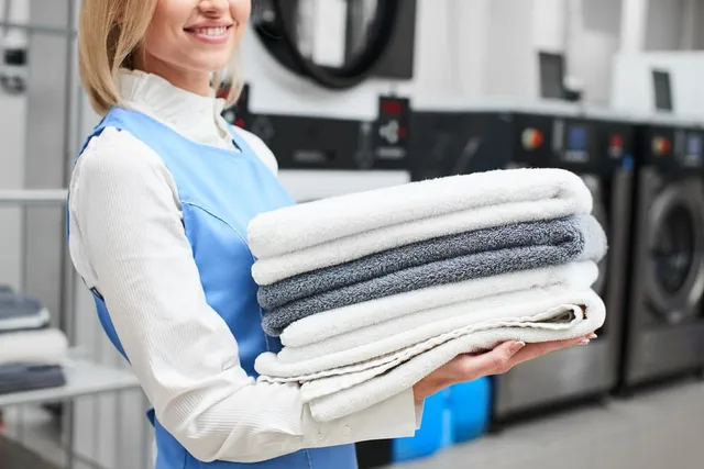 Wash Dry and Fold